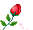 Роза (1)